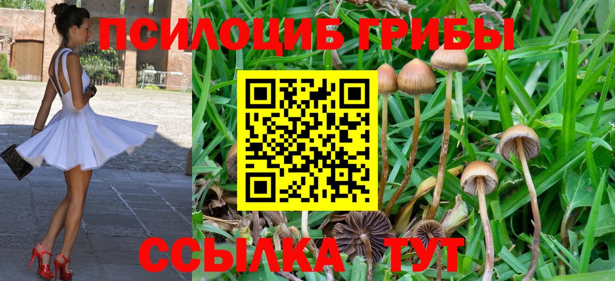 Галлюциногенные грибы Psilocybine cubensis  Псилоцибиновые грибы Psilocybine cubensis  Вход с VPN  Старая Купавна 
